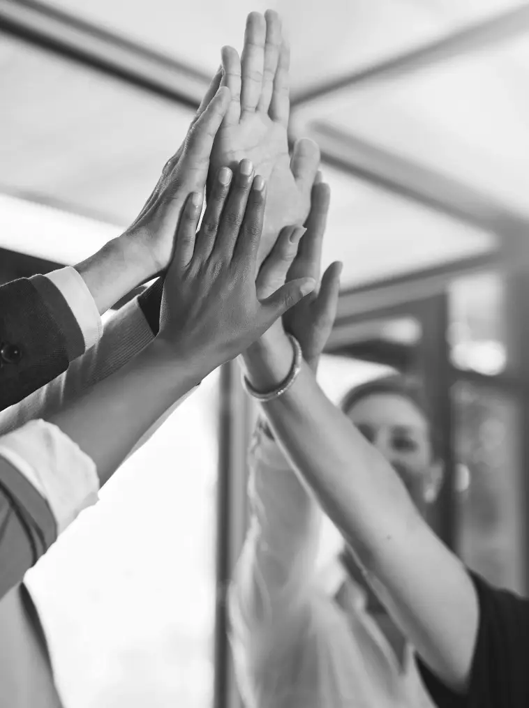 Especialistas em contabilidade e gestão tributária da Múltipla