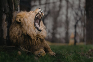 Checklist documentos imposto de renda 2026